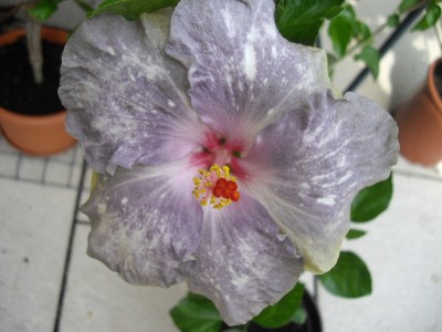 IMGP3102.JPG