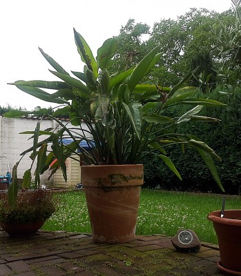 20120714_102126_2.jpg