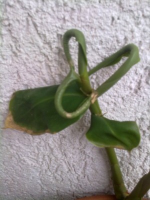 Kopie von 140720121587.jpg