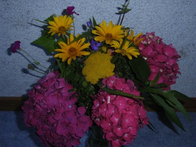 RIMG0228.JPG