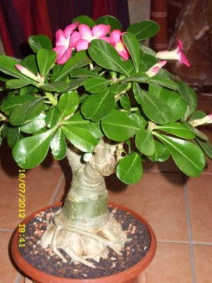 Photo3.jpg