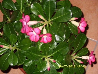 Photo1.jpg
