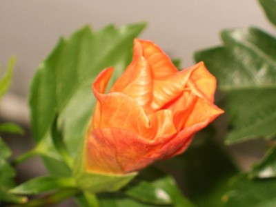 Photo3.jpg