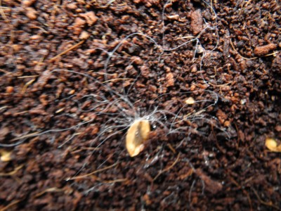 DSCN0722.JPG