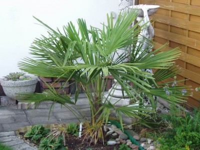 Meine Bilder 014a.jpg