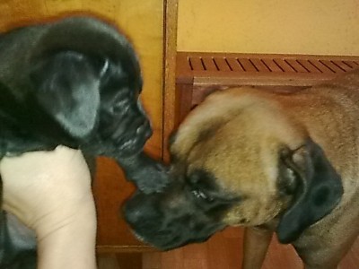 ...Vater und Sohn.JPG