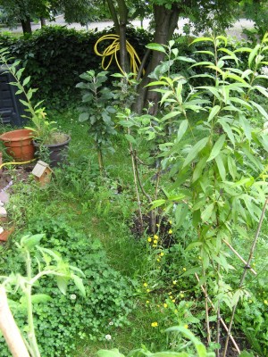 IMG_2300_1900x1900_1000KB.jpg