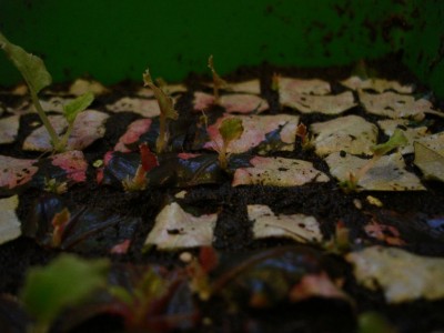 19-07 Detail2.jpg