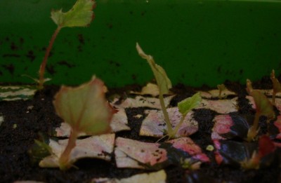 19-07 Detail1.jpg
