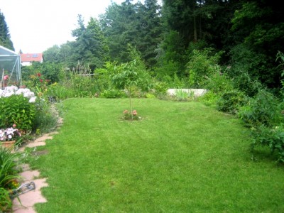 Garten.JPG