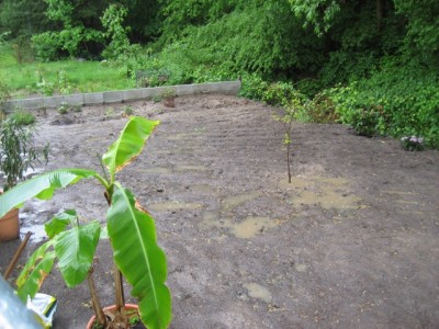 Garten Mai 2010 2.JPG