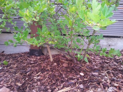 Copy of 2012-07-16 18.09.12.jpg