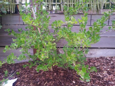 Copy of 2012-07-16 18.09.02.jpg