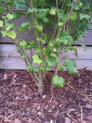 Copy of 2012-07-16 18.08.54.jpg