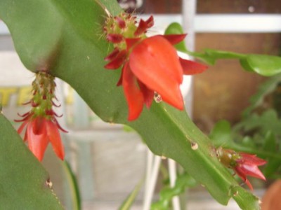 Photo33.jpg