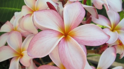 IMG_1090kl.jpg
