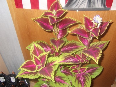 DSCF6122.JPG