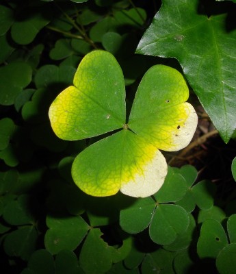 Kopie von bilderbuch 137.jpg