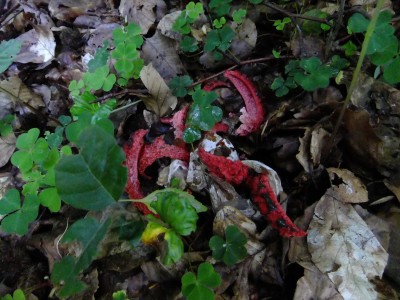 DSCF6699.JPG