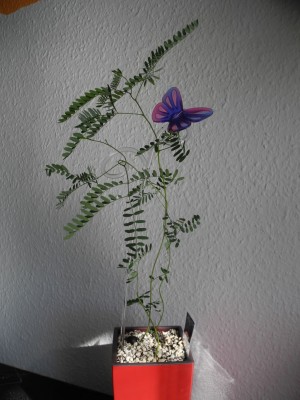 DSCN4360.JPG