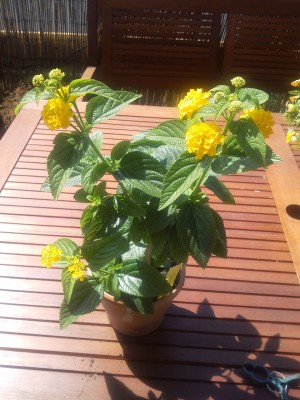 2012-07-24 15.12.40.jpg