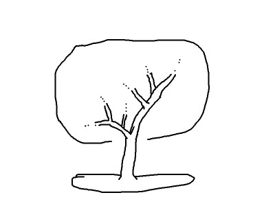 bonsai.jpg