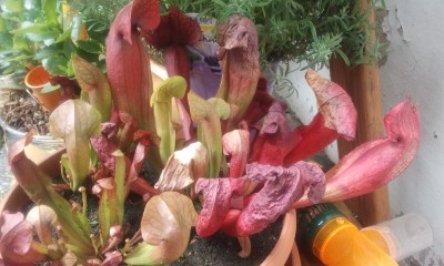 2012-07-25 12.24.59.jpg