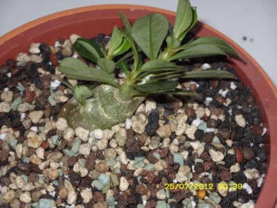 Photo7.jpg