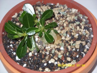Photo6.jpg