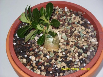 Photo5.jpg