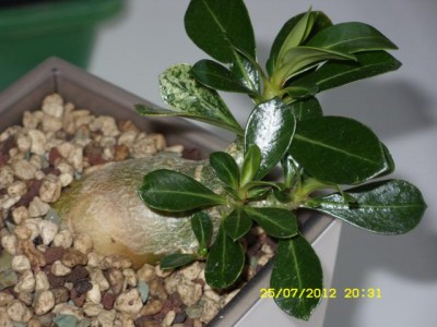 Photo2.jpg