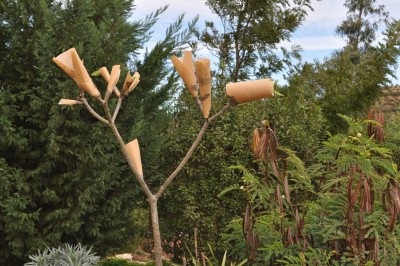 Pflanzen und Garten 001-001.JPG