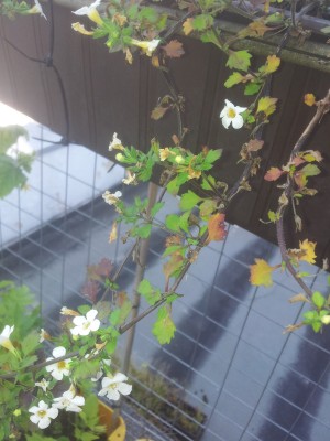 2012-07-25 17.11.40.jpg