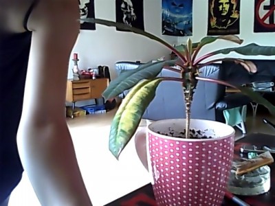 Snapshot_20120726_1.JPG