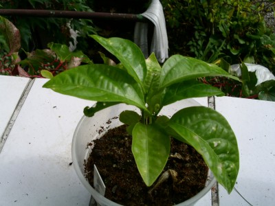 PICT0142.JPG
