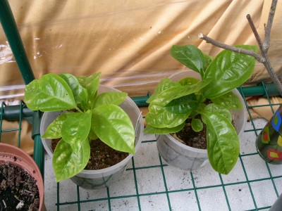 PICT0141.JPG