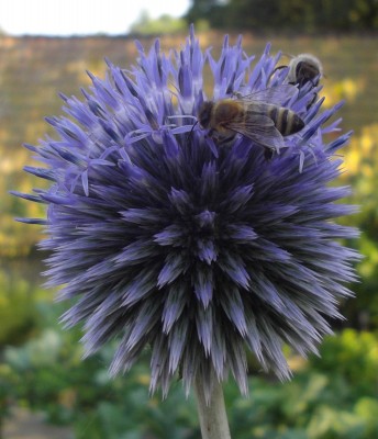 Kopie von bilderbuch 168.jpg