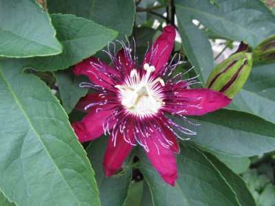 K1024_IMG_1344.JPG