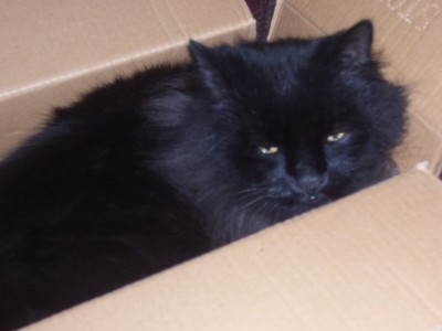 schööööön 535.jpg