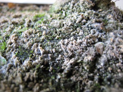 IMG_15944.jpg