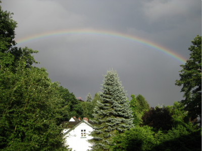 Regenbogen.png