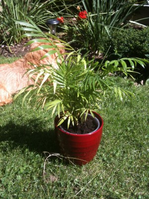 Foto 01.08.12 11 26 13.jpg