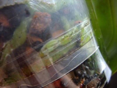 DSCF6687.JPG