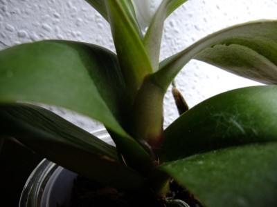 DSCF6689.JPG