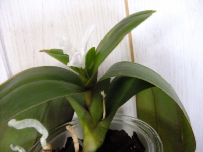DSCF6686.JPG