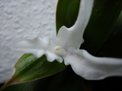 DSCF6691.JPG
