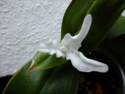 DSCF6690.JPG