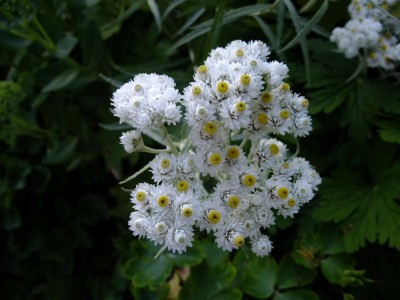 DSCF6774.JPG