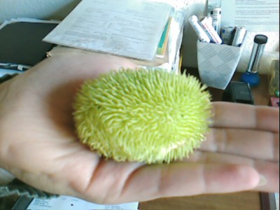 IMG038.JPG