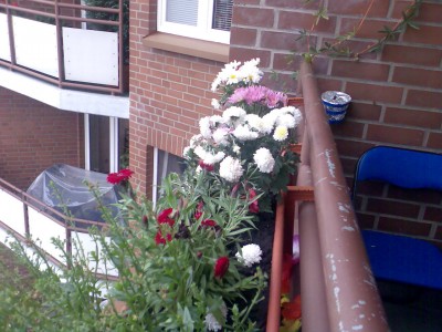 Bild002.jpg